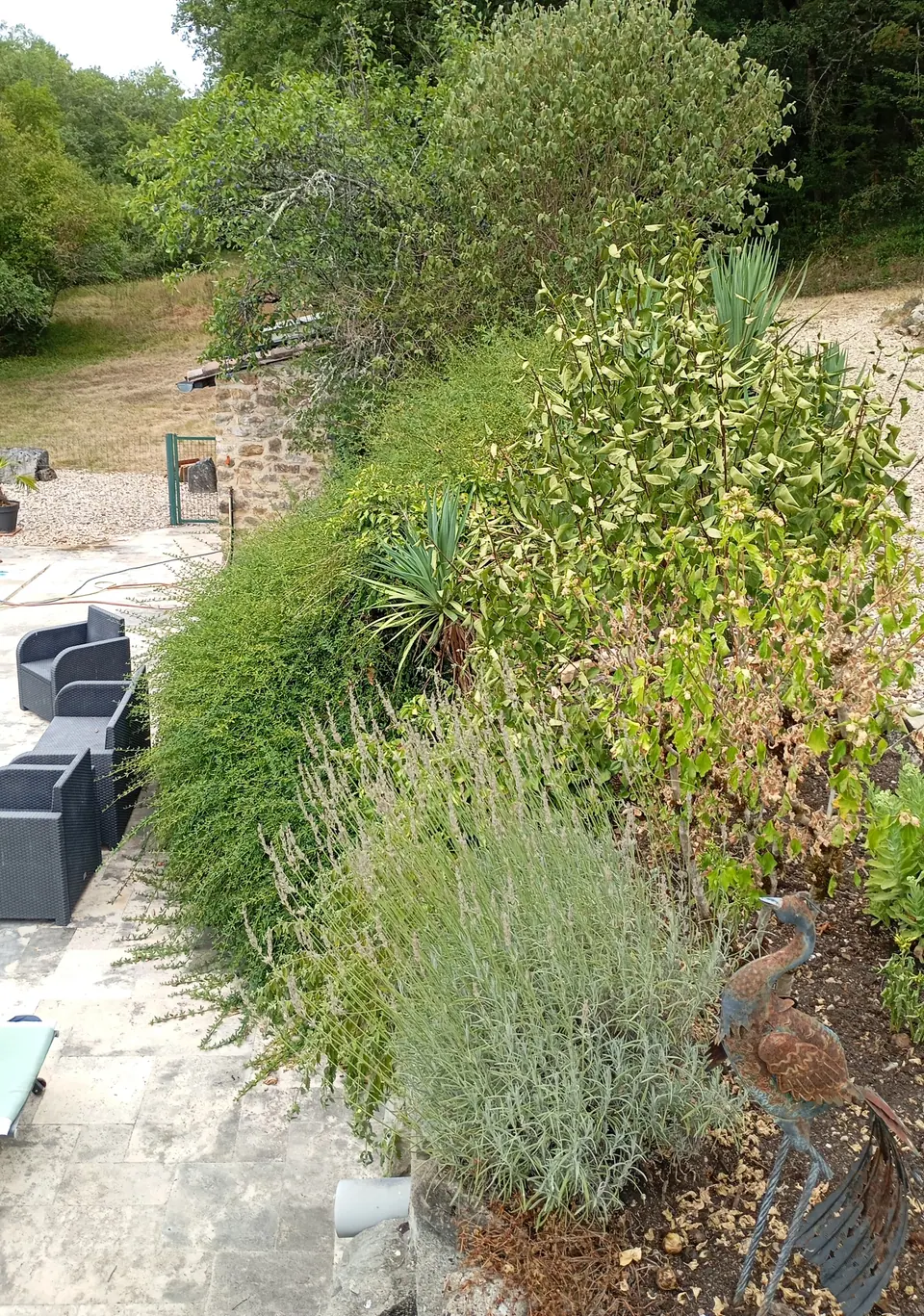 Massif entretenu dans un jardin