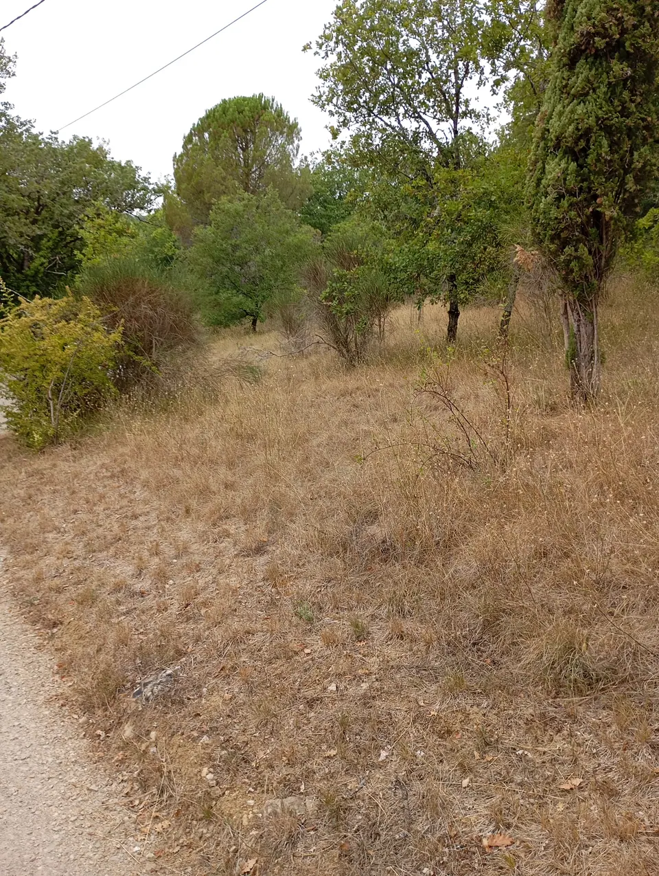 Abords de jardin entretenus